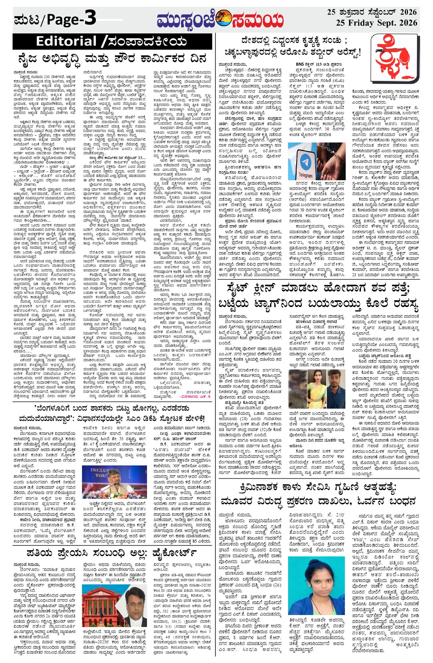 Page 3