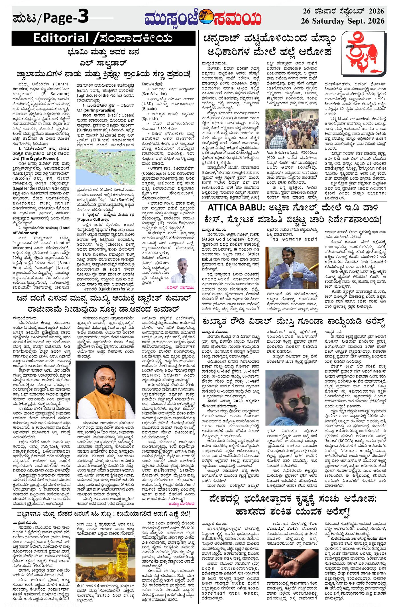 Page 3